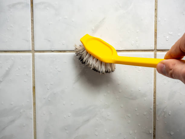 Best Professional Mold Removal  in Arlington, GA