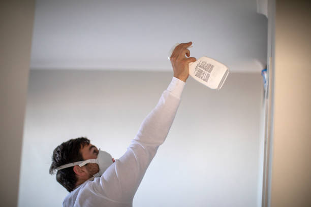 Best Mold Testing  in Arlington, GA