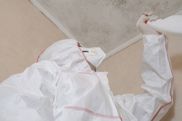 Best Mold Damage Repair  in Arlington, GA